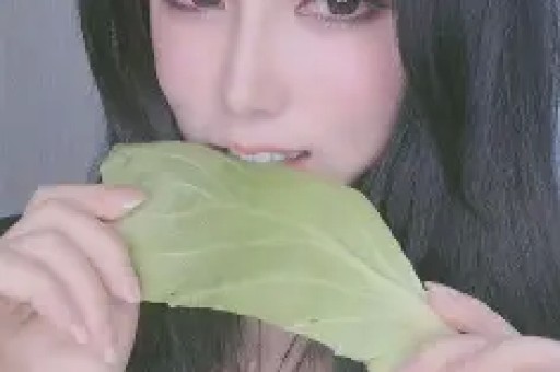 娱乐圈最新八卦：白鹿正面热搜、太阳女神演出取消、刘亦菲圈内口碑好
