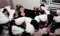 内娱又乱了！关晓彤被公开内涵 女星被伸手进裤子 连黄子韬也没逃脱