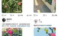潜江城市更新交出亮眼成绩单